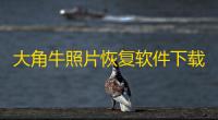 大角牛照片恢复软件下载