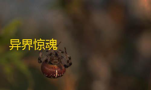 第五人格透视挂下载异界惊魂                    非常好玩有趣的休闲冒险解谜游戏。